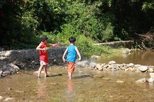 吃瓜看景色,品味人间烟火气