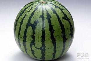 产妇可以吃梨瓜,产妇梨瓜食谱分享