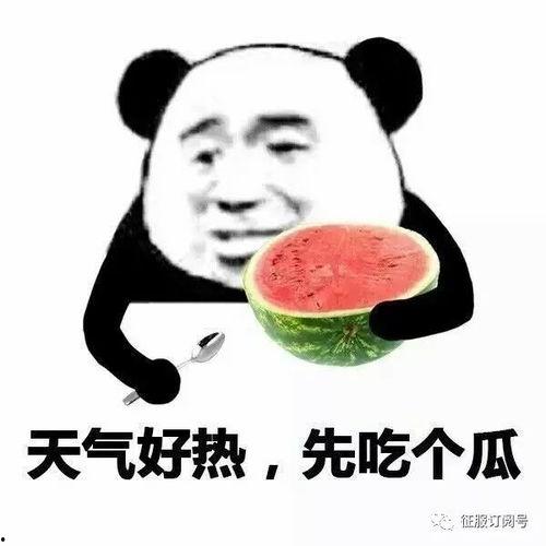 女生为啥爱发吃瓜的表情,女生为何偏爱“吃瓜”表情背后的心理奥秘